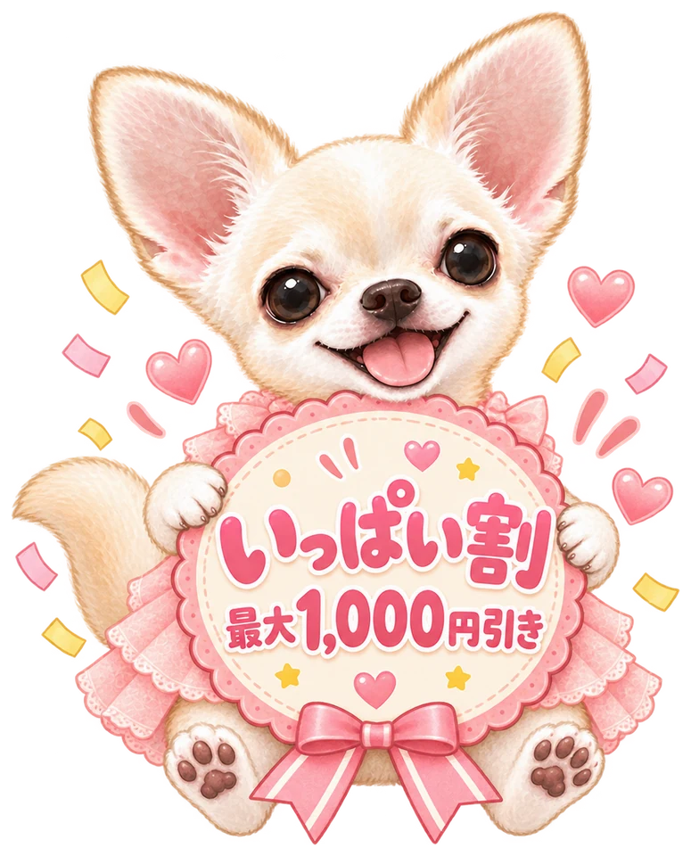 「いっぱい割 最大1,000円引き」のメダルを抱えた白いチワワ